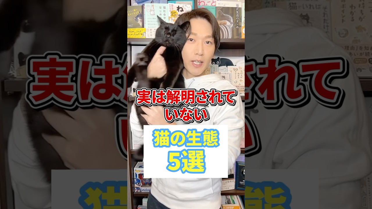 実は解明されていない猫の生態５選 #猫 #猫好き #ねこ