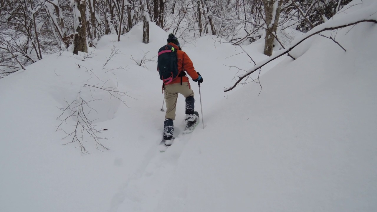 赤坂山でラッセル、、ＭＳＲライトニングアッセント