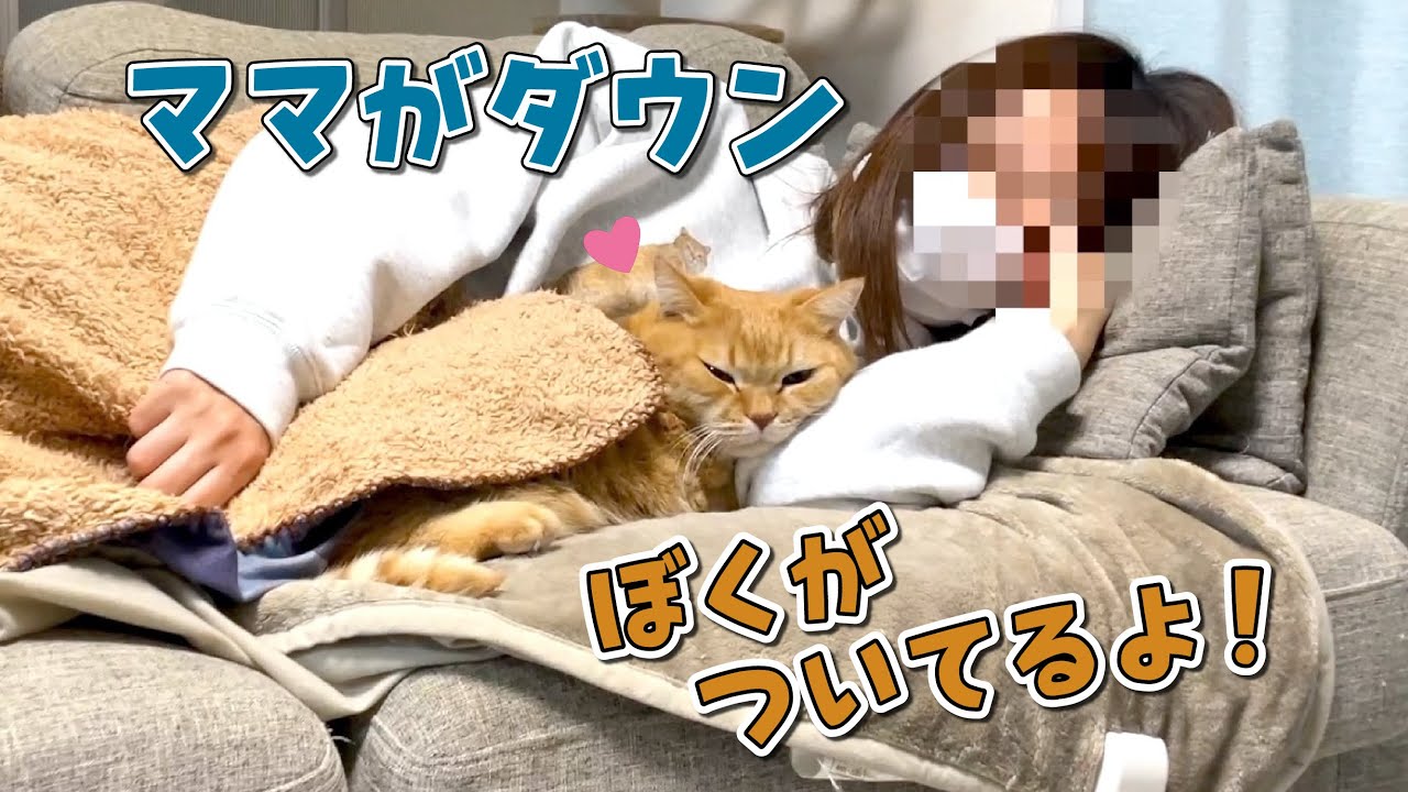 風邪でダウンしたママに付きっきりで看病してくれる猫が可愛すぎる！