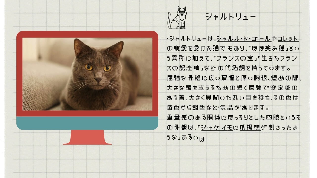 【シャルトリュー】ペットリフォームならセラフ榎本　犬猫のためのリフォーム　愛犬　ペット快適環境　東京都　埼玉県　神奈川県