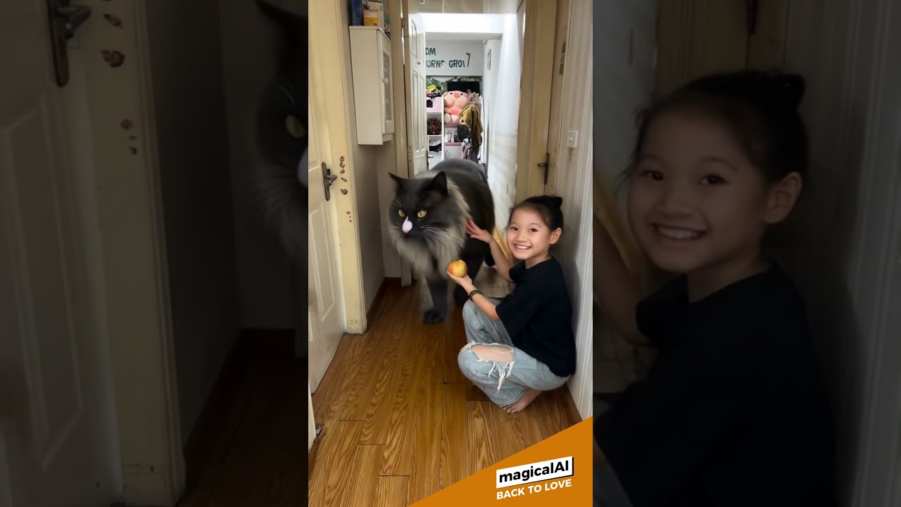 Summon a giant Oriental Manx cat #cat #manxcat #catshorts #cats #catvideos #catlovers #catlovers