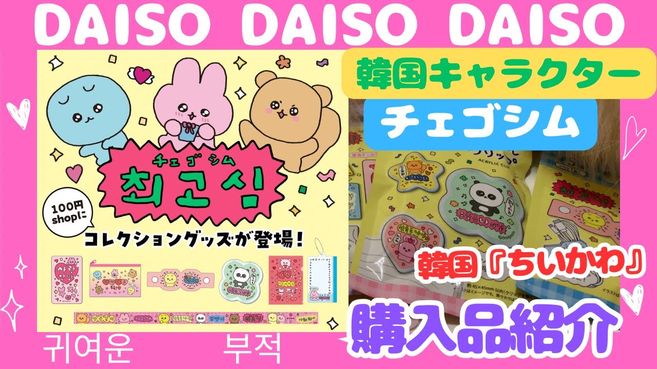 【ダイソー購入品】韓国人気キャラクター『チェゴシム』ダイソーに登場！/スコティッシュフォールド/Daiso purchases