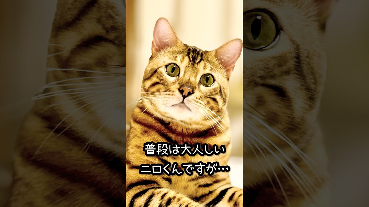 暴走するベンガル猫