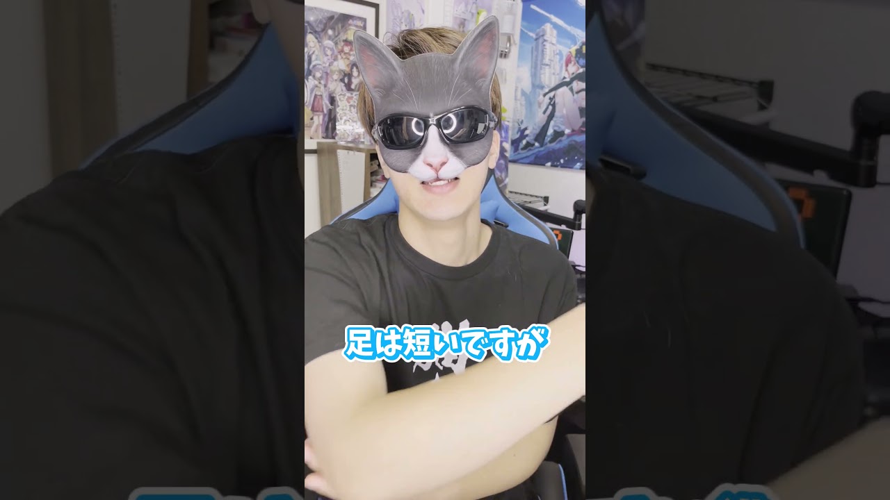 【1分解説】皆さんは最高にかわいいマンチカンを知ってますか？#shorts #cat #ねこ #マンチカン #猫のいる暮らし