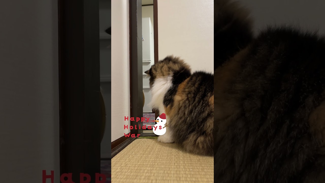 ハッピーボリデーの対決