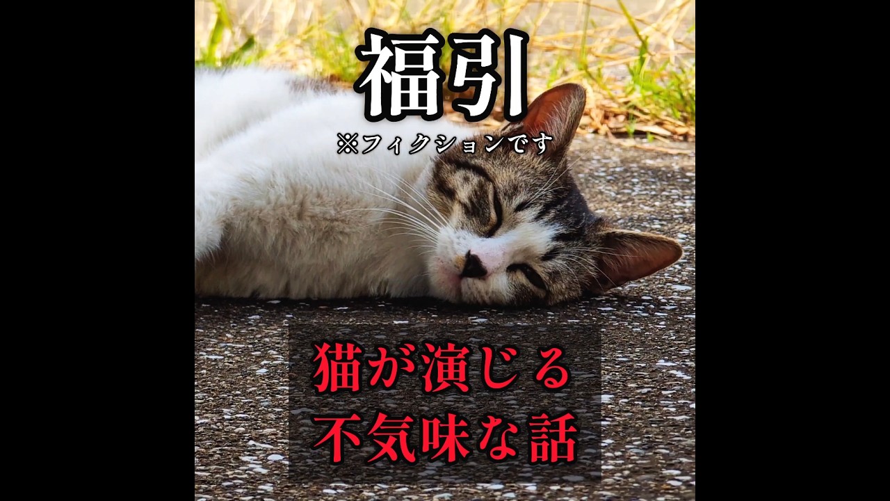 陰鬱な福引会場【ネコが演じる 都市伝説 NO.119】#shorts #猫 #ねこ