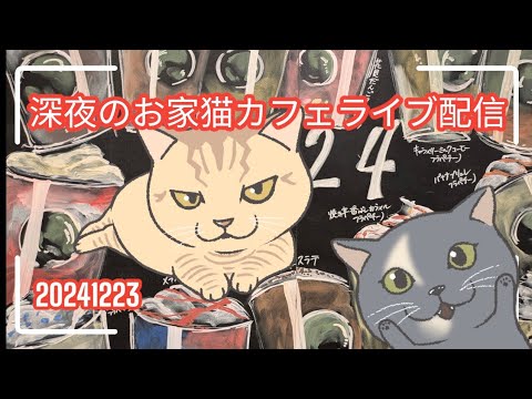 深夜のお家猫カフェライブ配信 267