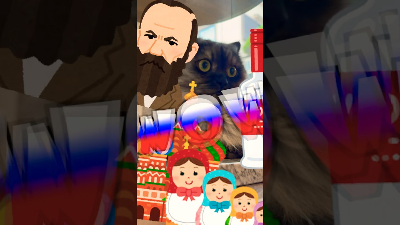 【シベリア出身の猫】適当に着陸したらロシア… #猫 #cat #サイベリアン #siberian  #猫のいる暮らし #猫好きさんと繋がりたい