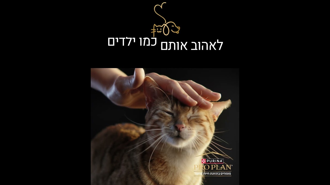 התזונה האיכותית של פרו פלאן