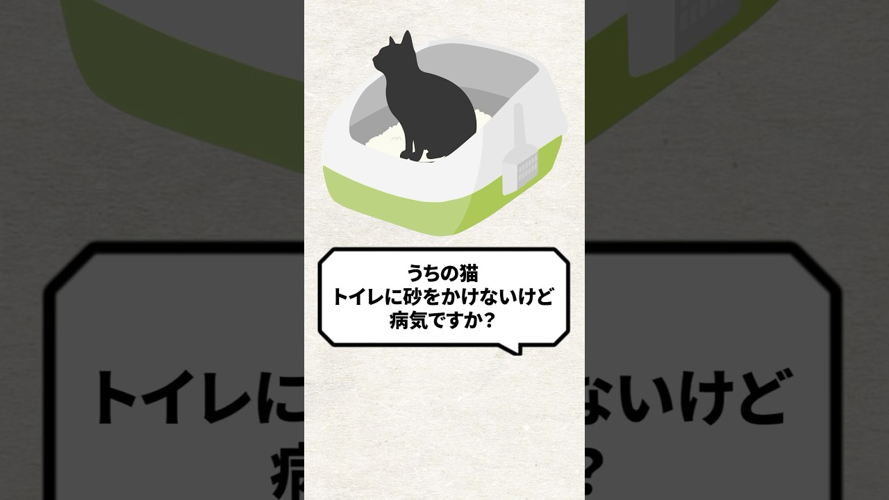 Q：うちの猫トイレに砂をかけないけど病気？ #猫 #猫動画 #ねこ