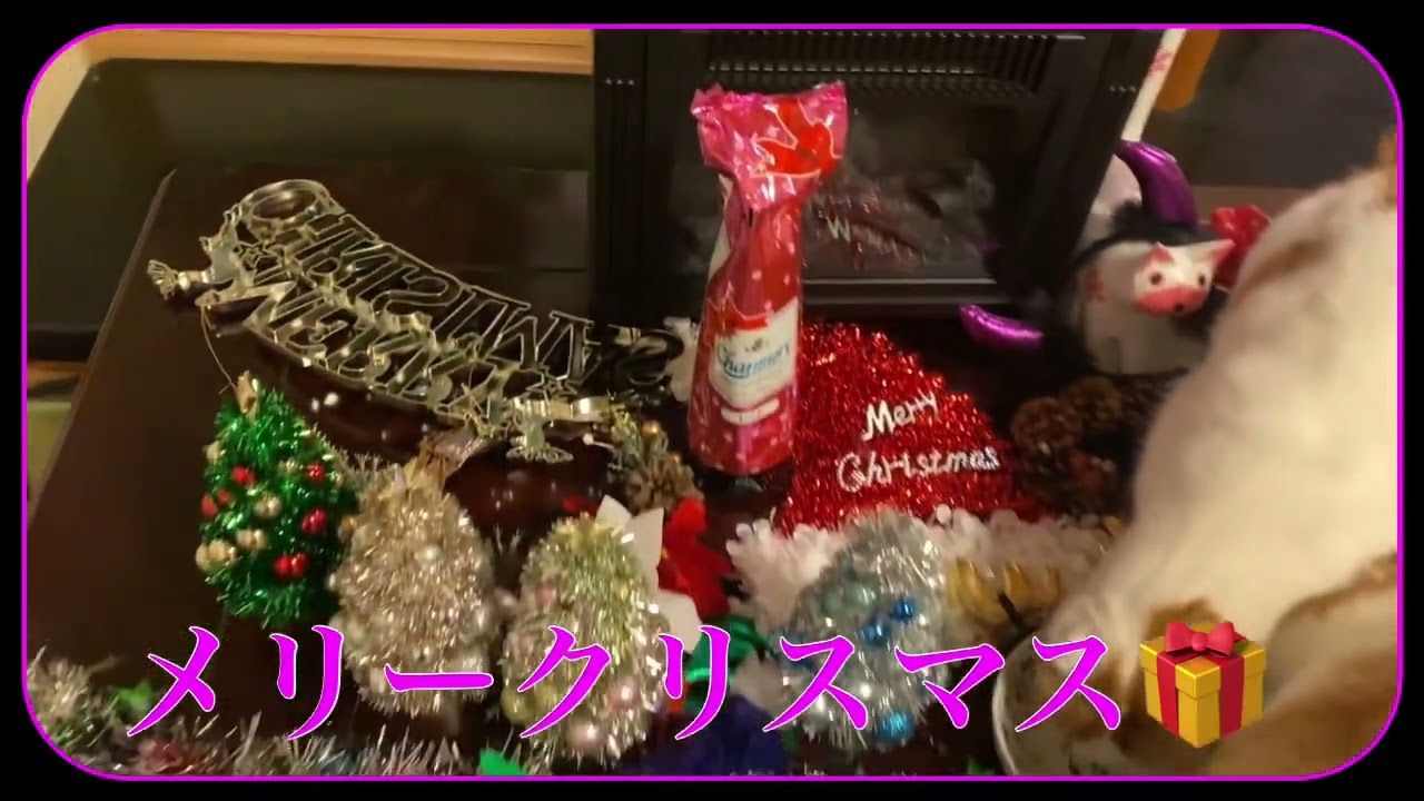 一晩寝たら､クリスマス🎄スコティッシュマリオ一家､チュールと讃美歌で、㊗️