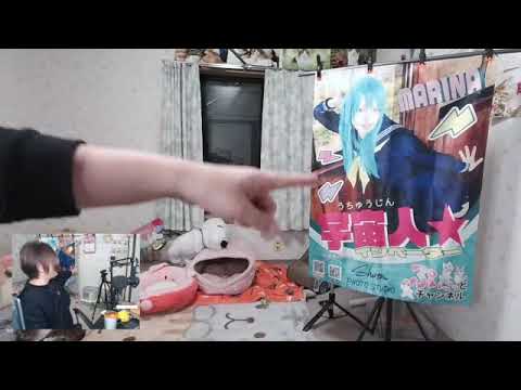クリスマスイブ直前！猫ちゃんライブ配信♪