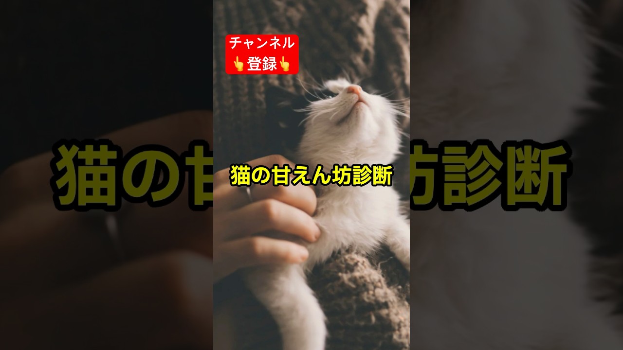 あなたの猫ﾁｬﾝ実は甘えん坊かも⁉️ #shorts #雑学 #豆知識 #猫 #猫好き #cat #猫動画