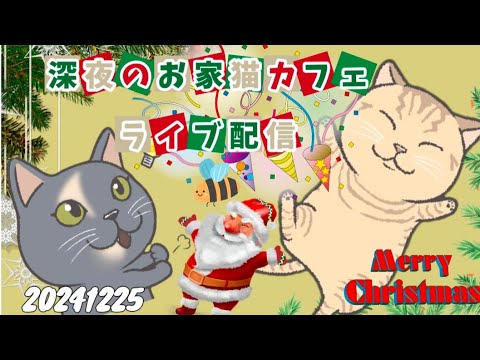 深夜のお家猫カフェライブ配信269