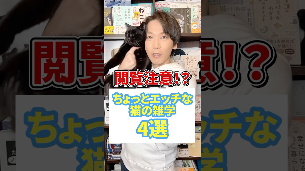 閲覧注意！？ちょっと〇ッチな猫の雑学４選 #猫 #猫好き #ねこ