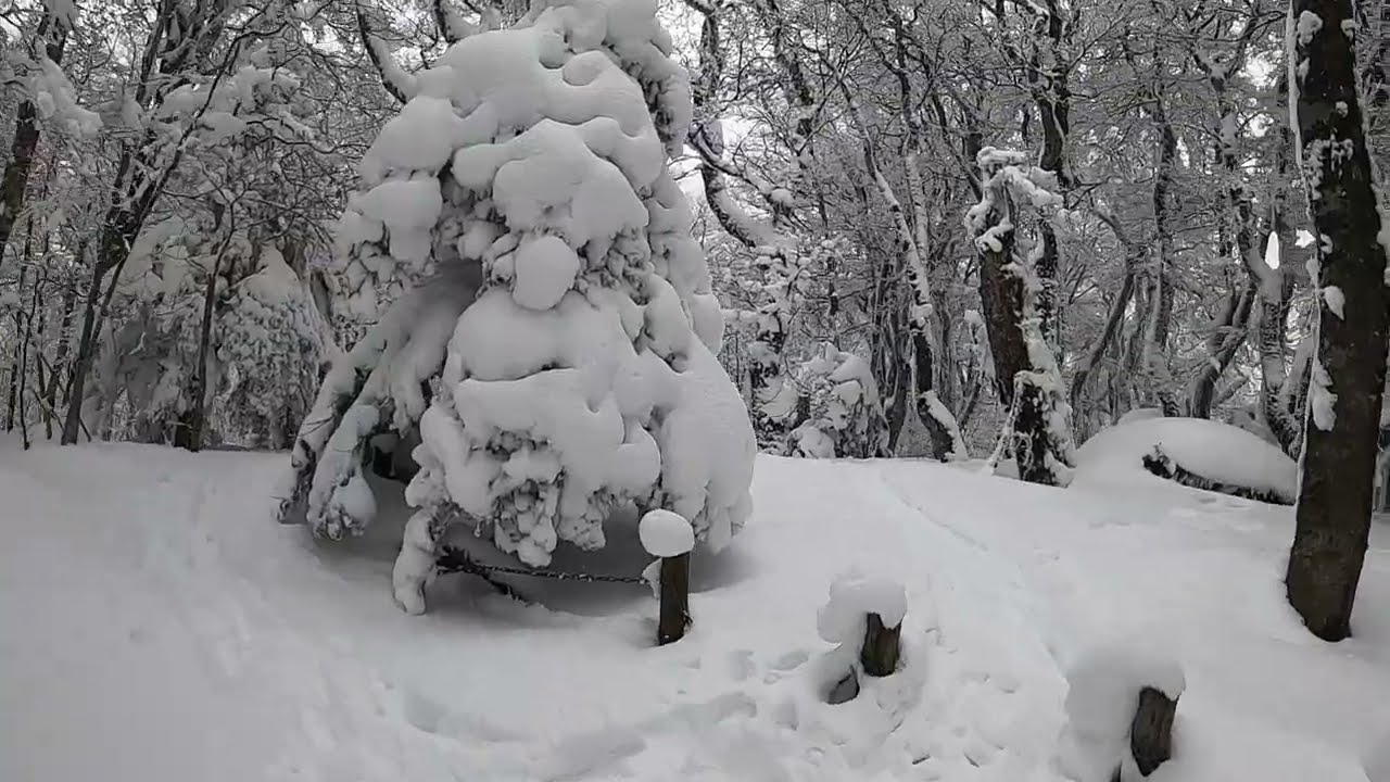 スノーシューで比婆山御陵から飛越岩まで
