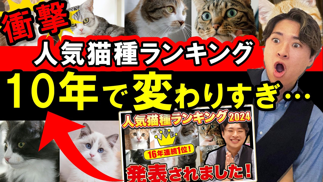 【2024年】人気猫種ランキングが発表されました！！！