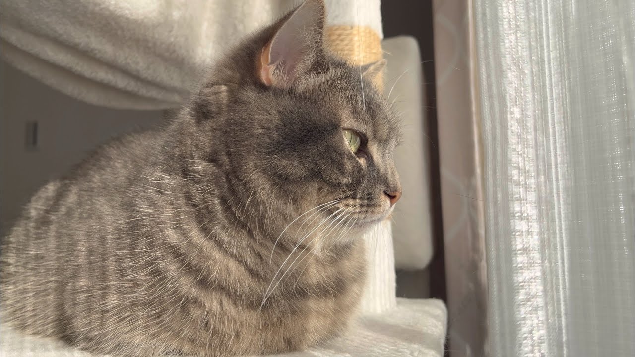 皆様に悲しいご報告があります