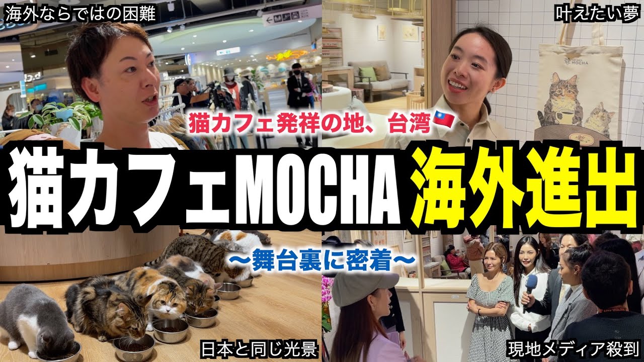 【密着】日本の猫カフェ海外挑戦の裏側を初公開。