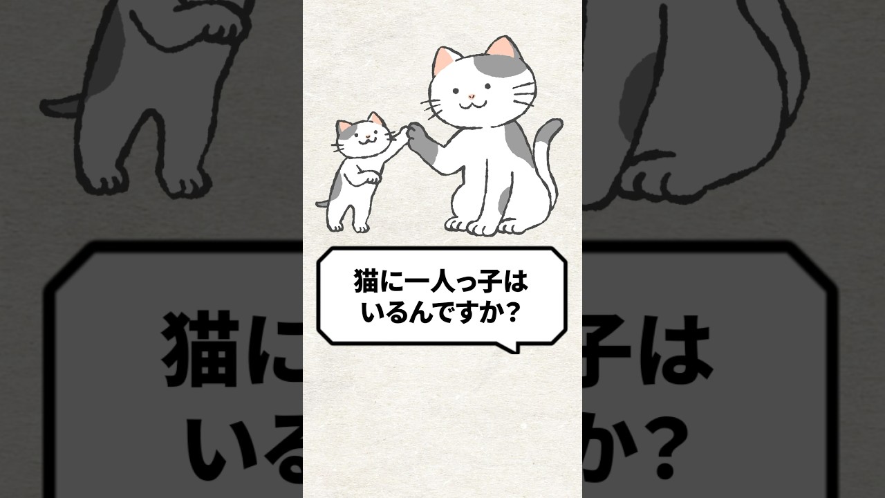 Q：猫に一人っ子はいるんですか？ #猫 #猫のいる暮らし #ねこ