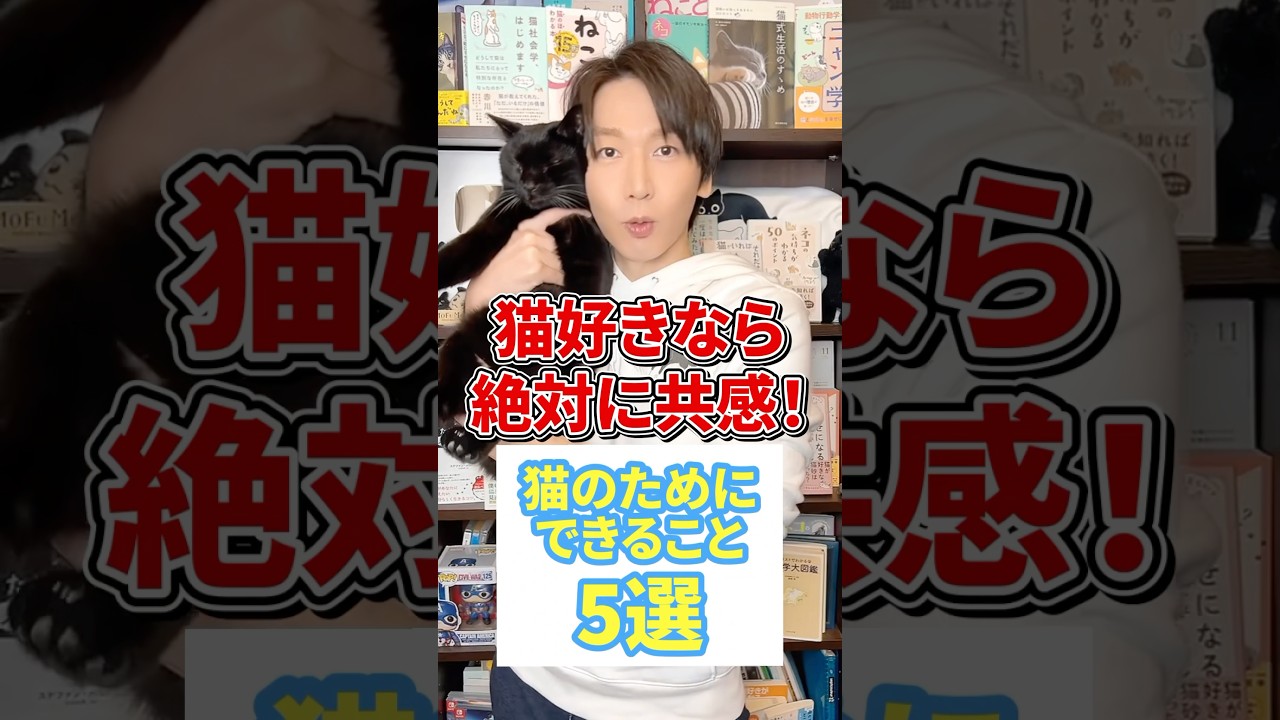 猫好きなら絶対に共感！猫のためにできること５選 #猫 #猫のいる暮らし #ねこ