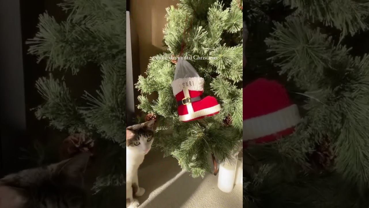 Have they been naughty or nice?いいこにしてたかな