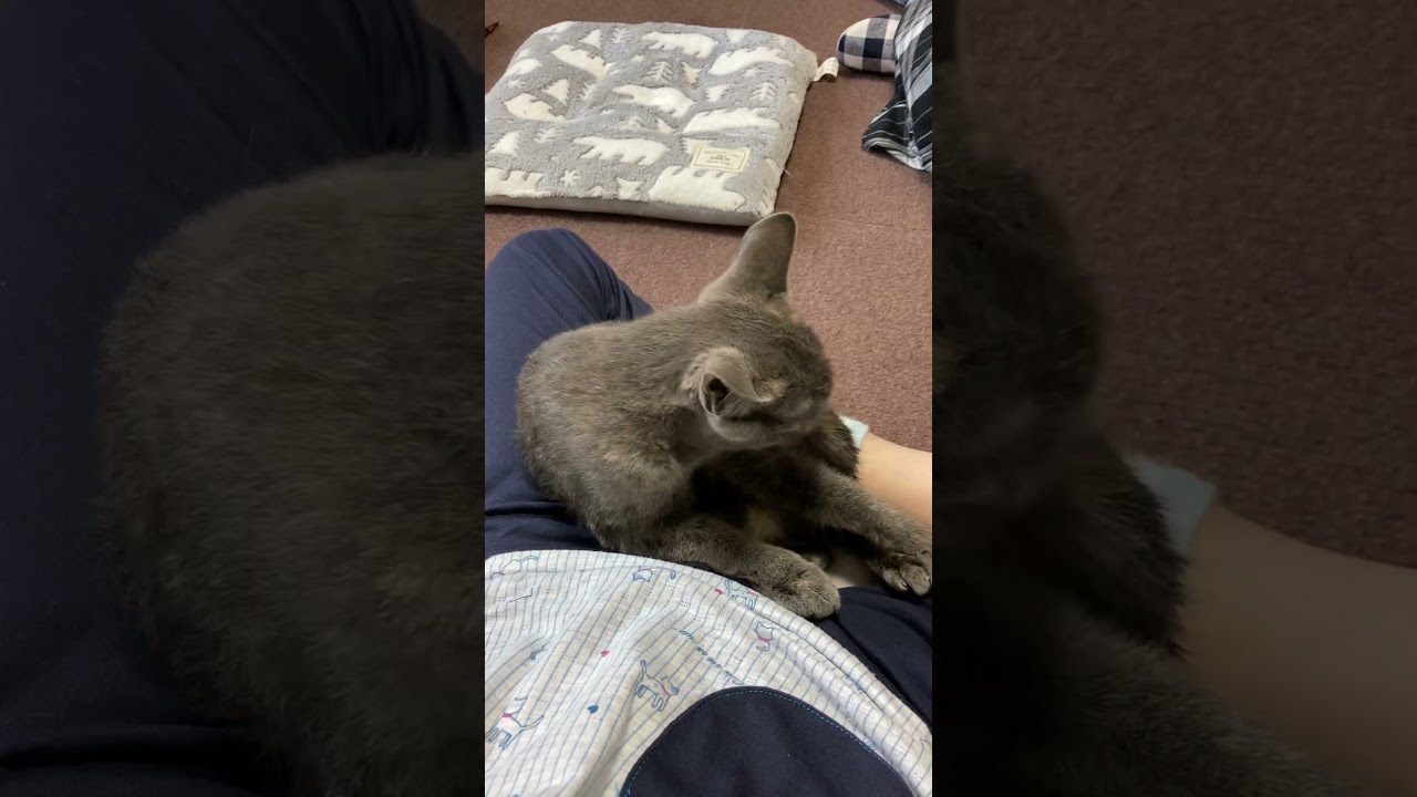 お風呂上がり、膝で暖をとる