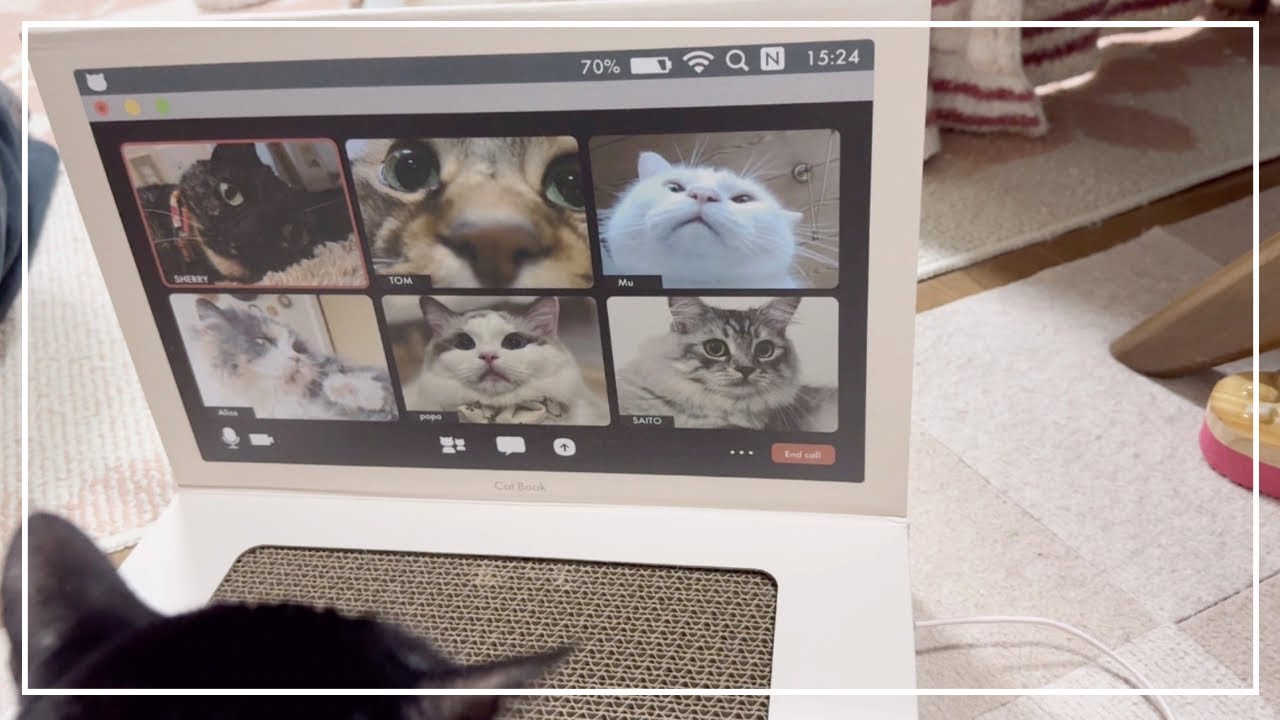 PC型のお爪研ぎ買ってウチの猫達に使ってもらいました。