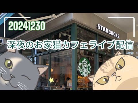 深夜のお家猫カフェライブ配信 274