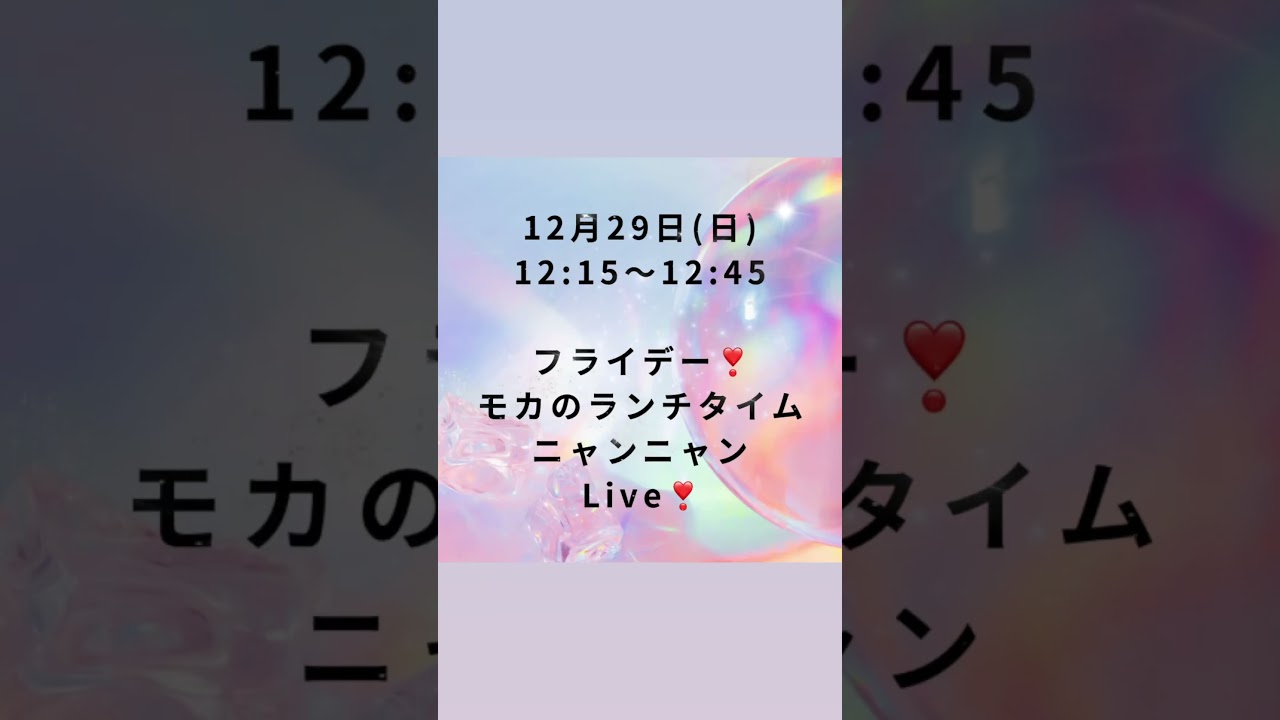12/29 日曜日　12:15〜12:4#サイベリアン　の#こねこ のご紹介ライブを配信します。日テレズームインサタデー！猫カフェご紹介放送記念！子猫全頭対象😻7万円割引キャンペーン開始