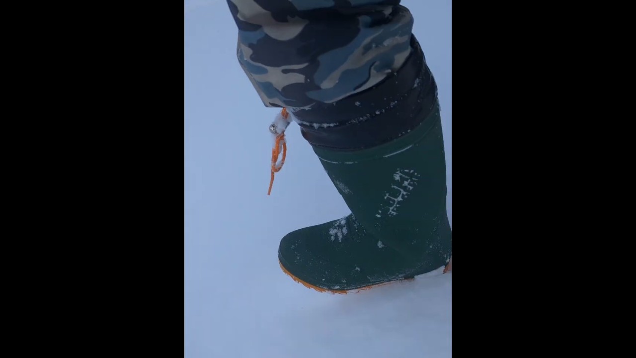 スノーシュー始めました