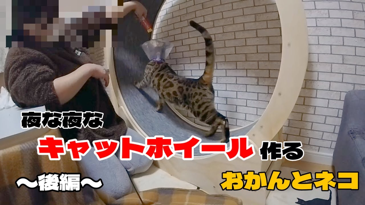 夜な夜なキャットホイール作成〜後編〜　キャットホイール完成しました！👏