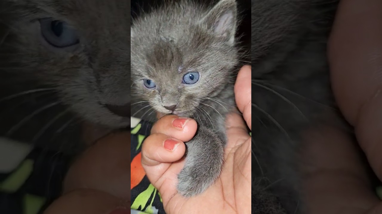 เตรียมตัวเช็ดตาตอนเช้า😄