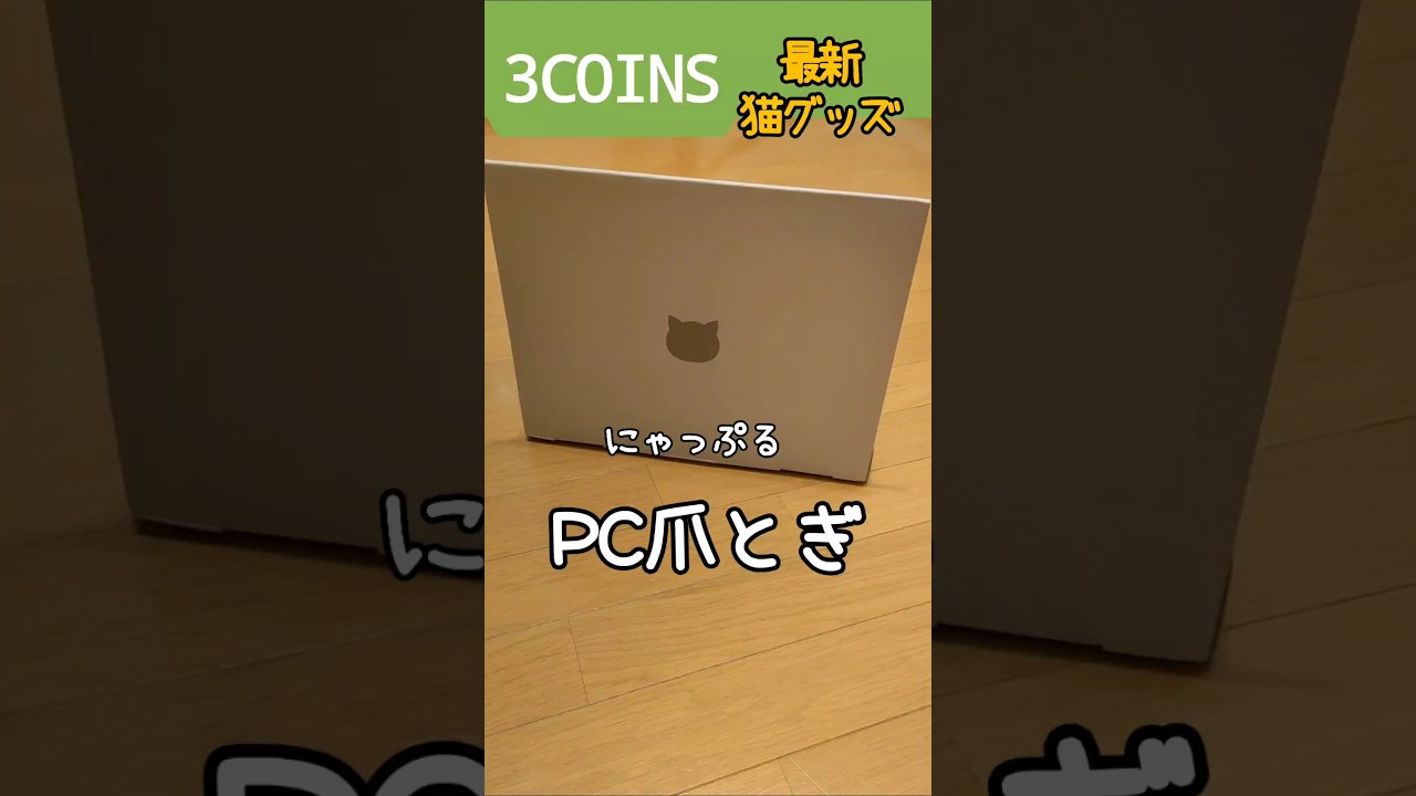 3COINS最新猫グッズ#shorts #cat