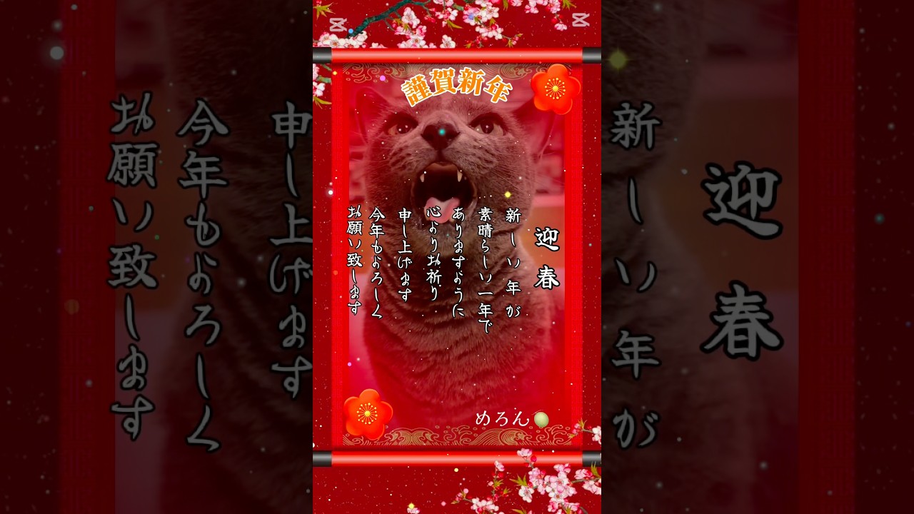 【ロシアンブルー】あけましておめでとうございます🎍🥰今年もめろんをよろしくお願いします💗🥰【猫】#shorts