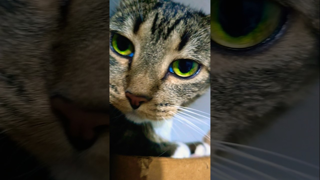 31 de dezembro de 2024