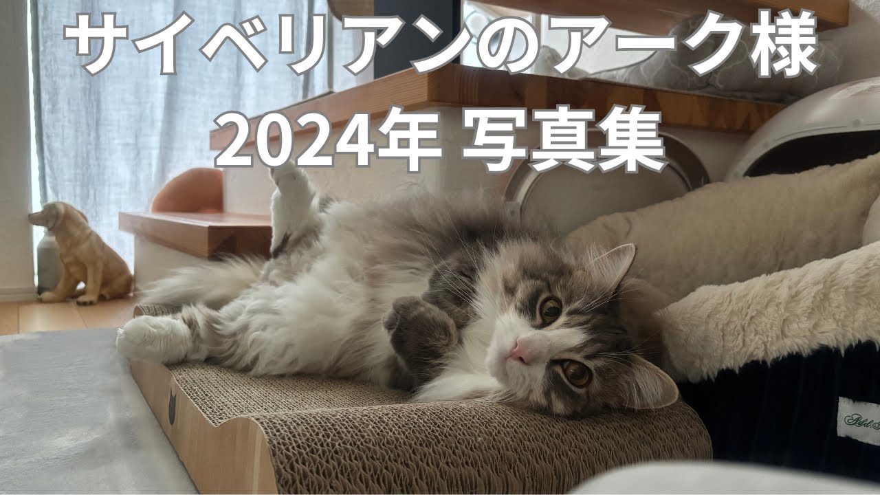 2024年アーク様写真集  Siberian サイベリアン