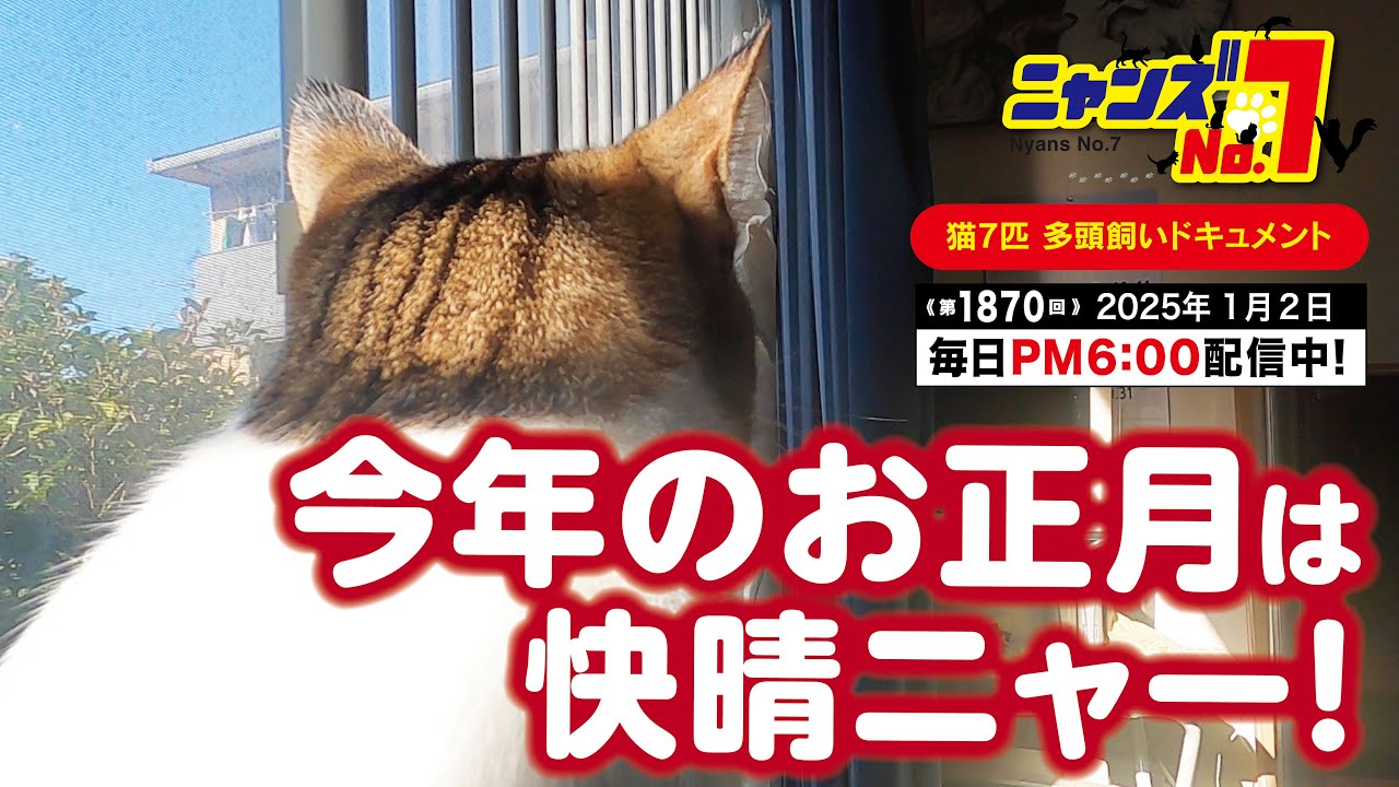 《第1870回》今年のお正月は快晴ニャー！