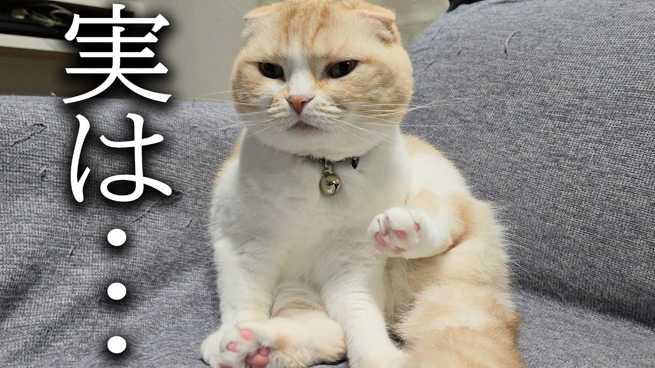 ずっと秘密にしてた事...