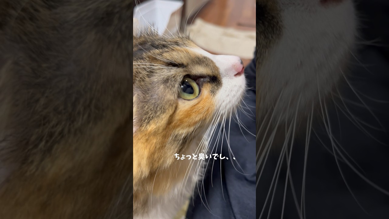 ちょっとにおうかも、、