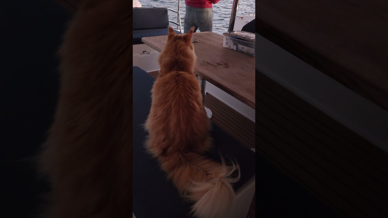 We are hanging out in Palm Beach.