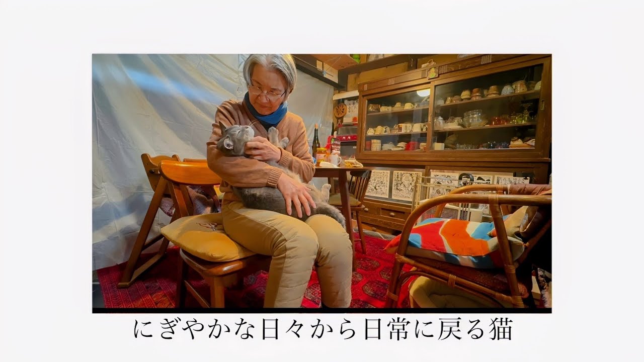 にぎやかな日々から日常に戻る猫・・・