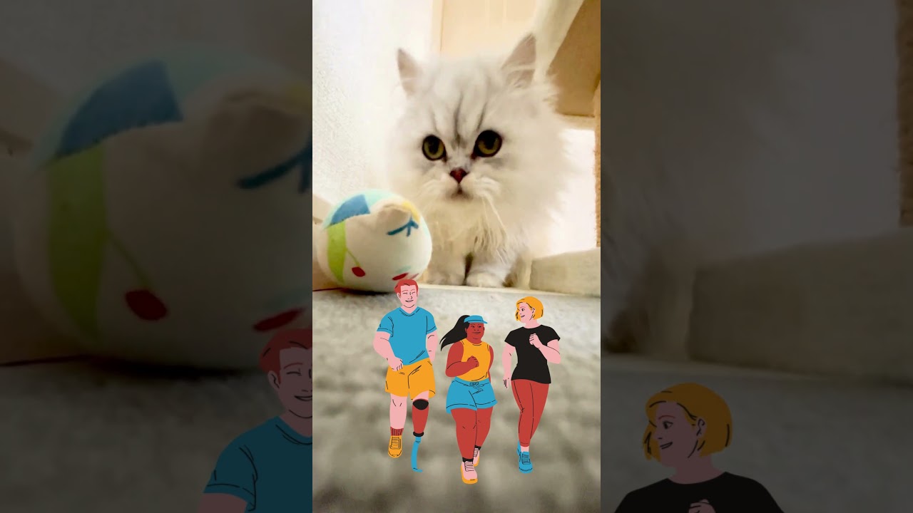 【ペルシャ猫】巨大怪獣「もちラ」に遭遇！？ #猫 #猫のいる暮らし #ペルシャ猫 #shorts