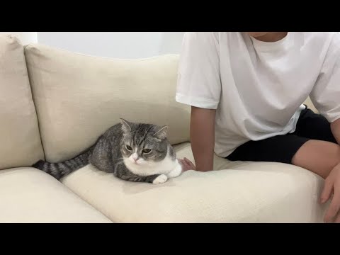 帰るのが遅れたら機嫌を損ねちゃった猫に一日中無視されました…