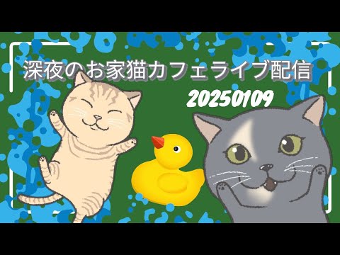 深夜のお家猫カフェライブ配信 ２８３