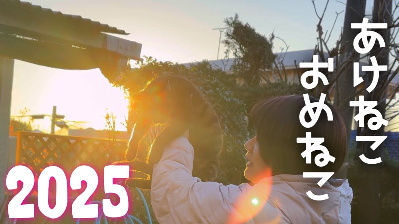 【ねこわんさか】あけねこおめねこ、ゆく年くる年