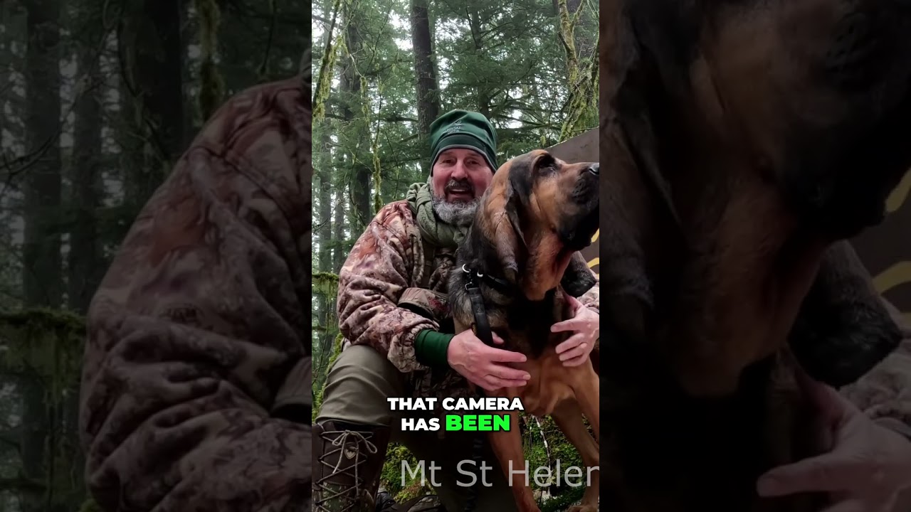 Snowshoe Adventures: Epic Trail Camera Findings!