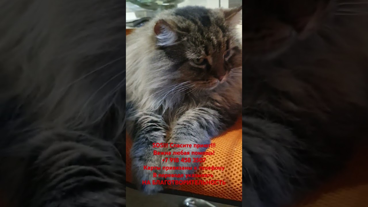 7 января 2025 г.