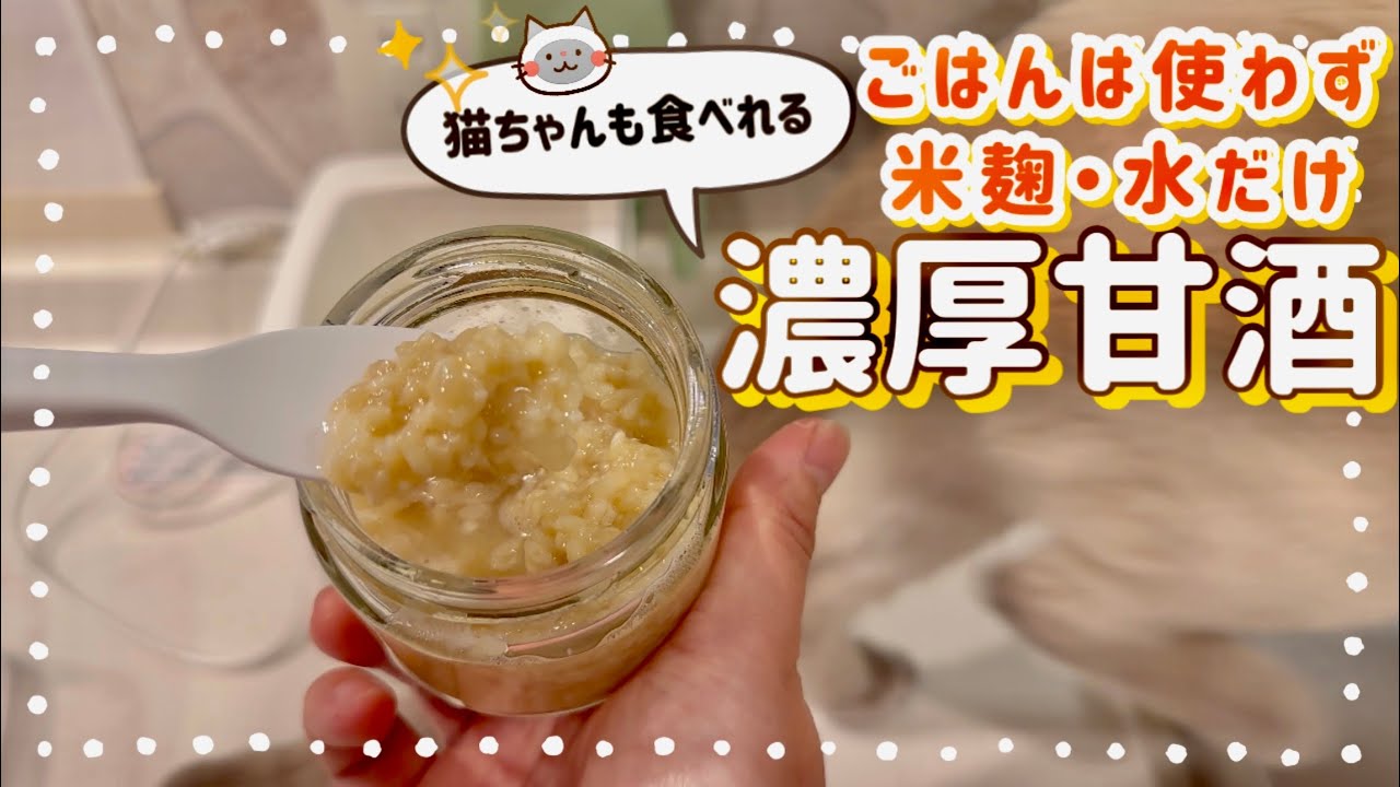 【米麹甘酒】猫ちゃんも食べれる濃厚甘酒の作り方