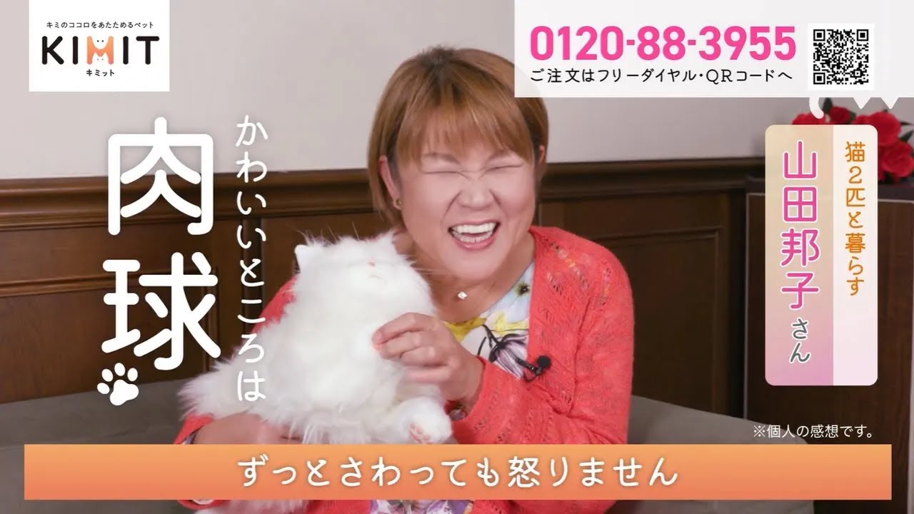 山田邦子さんもお墨付き！本物の猫にそっくりなキミットに癒されよう！｜痛快！買い物ランド ショップ島
